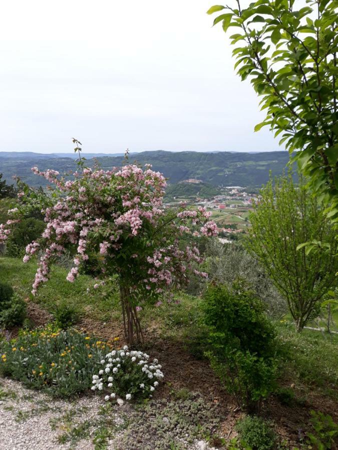 Apartment Finderli Бузет Экстерьер фото